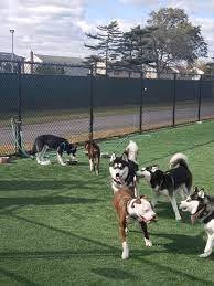 Dog Run at Wantagh Park photo 1